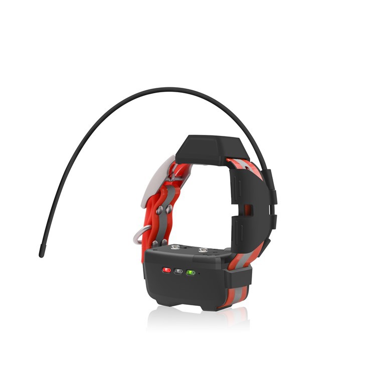 Kerah Anjing Mini GPS